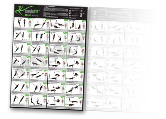 Suprfit Schlingentrainer Test Übungsposter